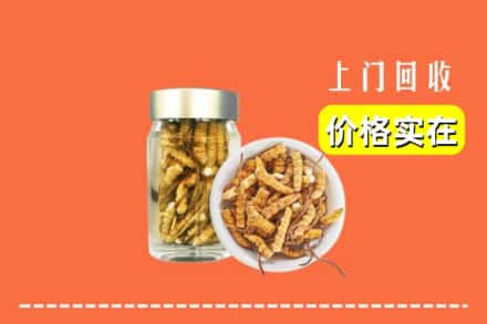 收购资讯:平阳县回收散虫草