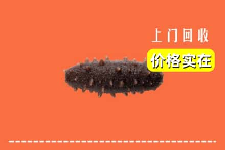 收购资讯:平阳县回收海参