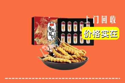 平阳县回收虫草